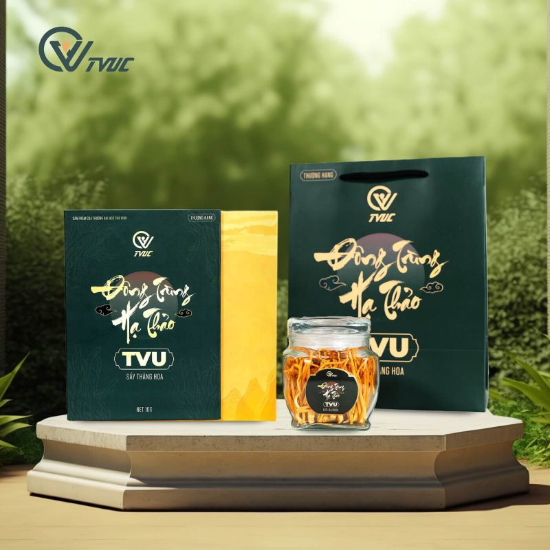 đông trùng hạ thảo TVU