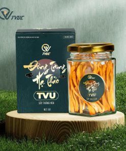 đông trùng hạ thảo TVU