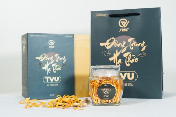 đông trùng hạ thảo hữu cơ tvu