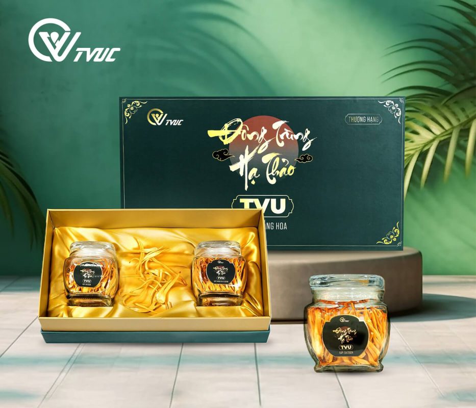 đông trùng hạ thảo TVU