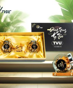 đông trùng hạ thảo tvu